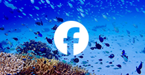 フェイスブック